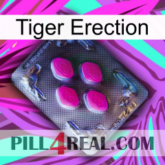 Tiger Erection 02